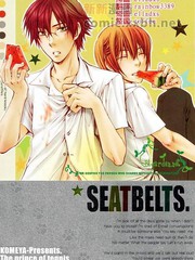 SEATBELTS