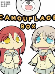 Camouflage Box