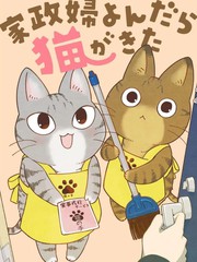 叫了家政来了猫